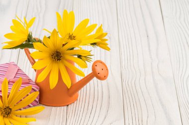 Sulama olabilir ahşap bir masa üzerinde bir hediye kutusu ile kır çiçekleri