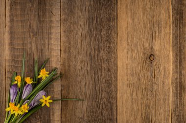 Nergis ve çiğdemler eski ahşap tablo.