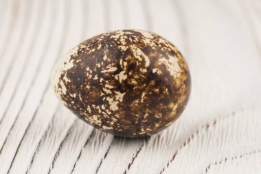 Bıldırcın yumurta eski Beyaz ahşap tablo