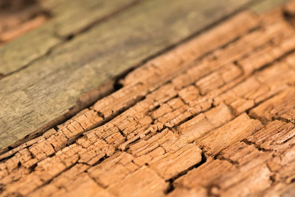 Trä textur, skrivbord i perspektiv närbild — Stockfoto