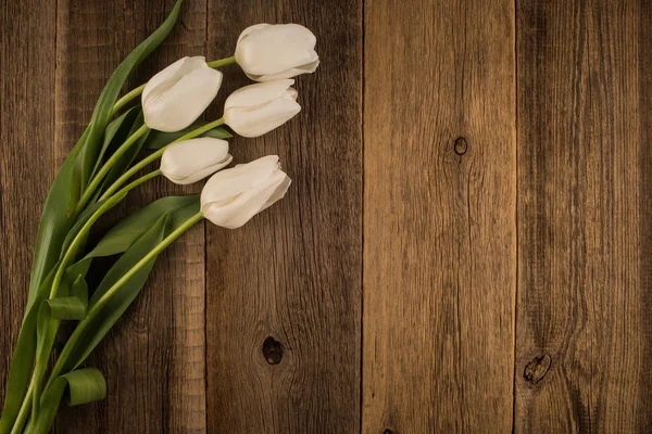 素朴な木製の背景に白いチューリップ. — ストック写真