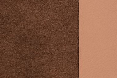 Kahverengi ve bej Doğal deri doku portre. 