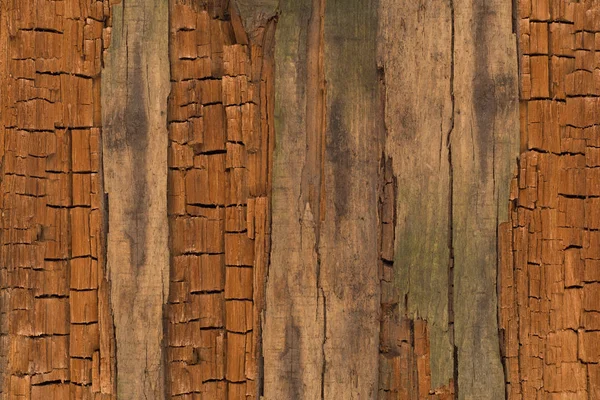 古い木の質感の背景. — ストック写真