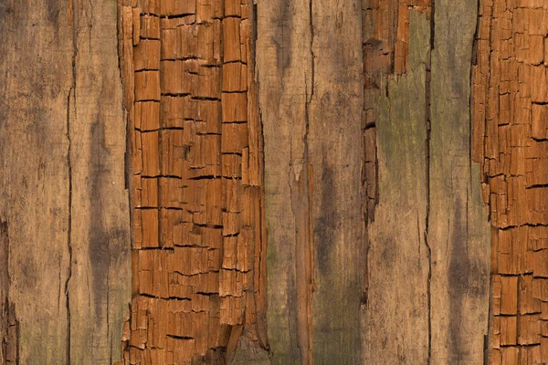 Old wood texture background. — Stock Photo, Image