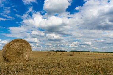 saman yığınları ile kuru kırsal alan.