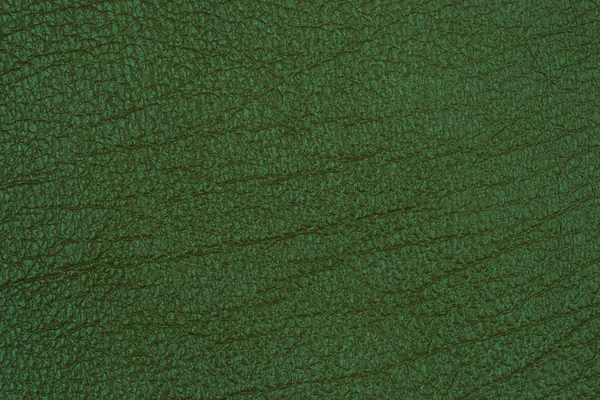 Textura de couro verde close-up, útil como fundo — Fotografia de Stock