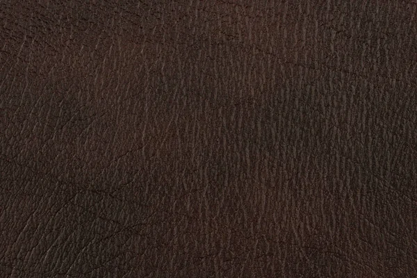 Textura de couro marrom natural — Fotografia de Stock
