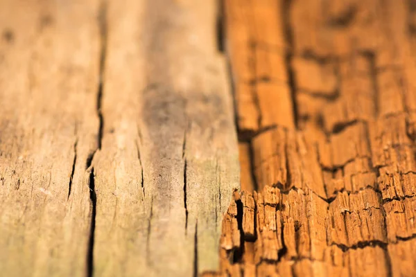 Struttura in legno, Scrivania in prospettiva Primo piano, Legno a strisce, Vecchio — Foto Stock