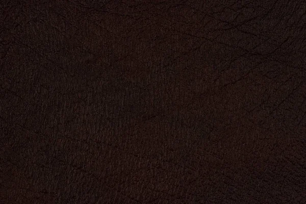 Texture cuir marron naturel — Photo