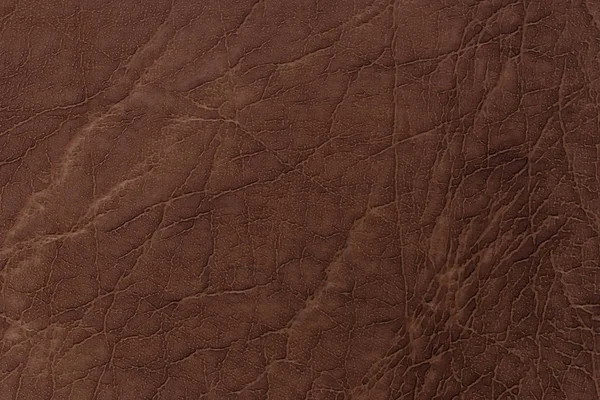 Brown leather texture. Abstract background, empty template. — Stock Photo, Image