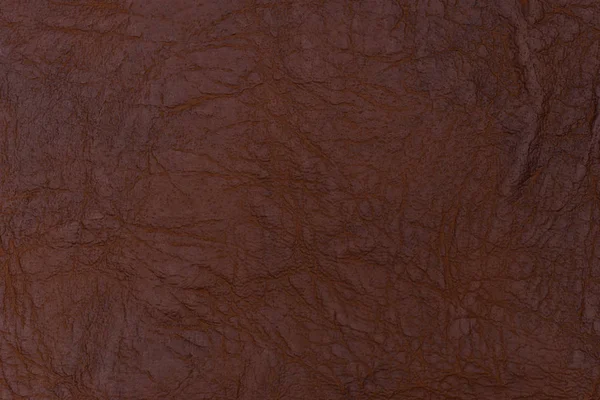 Brown leather texture. Abstract background, empty template. — Stock Photo, Image