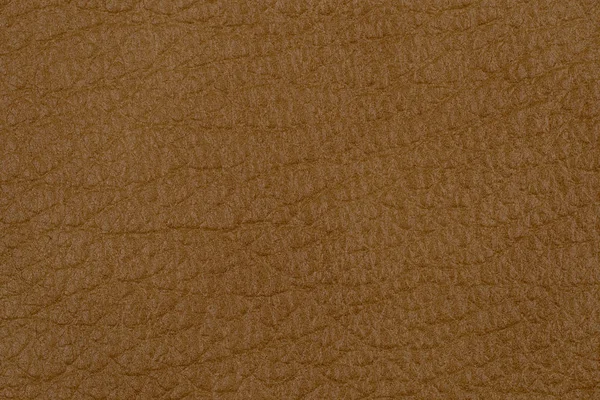 Textura de cuero marrón natural. — Foto de Stock