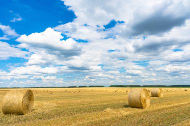 saman yığınları ile kuru kırsal alan.