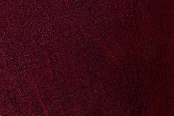 Rotes Leder Textur Hintergrund. — Stockfoto
