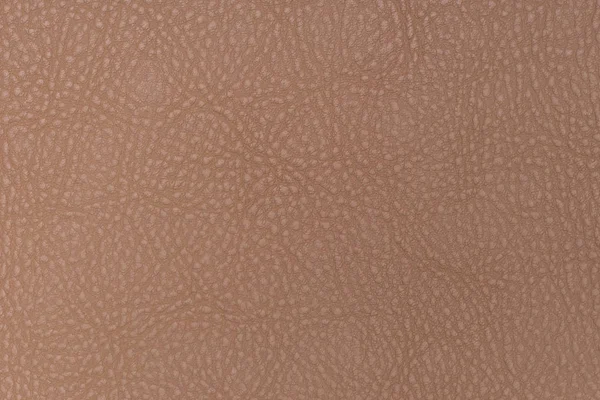 Ljusbrunt läder textur yta. Närbild av naturliga säd c — Stockfoto