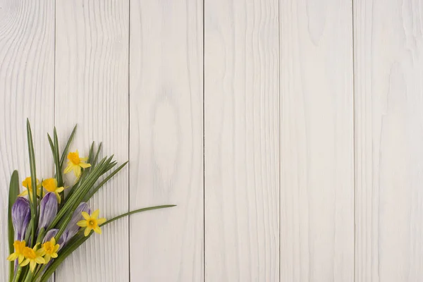 Narcisi e crochi sul vecchio tavolo di legno bianco . — Foto Stock