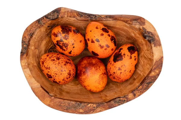 Huevos de codorniz de Pascua en un tazón de madera sobre un fondo blanco aislado . —  Fotos de Stock