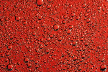 Petrol çemberli soyut kırmızı arkaplan. Su kabarcıkları yaklaşıyor. .