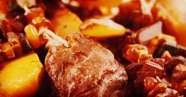 Baltık Denizi'nin kıyısında gelen ham amber