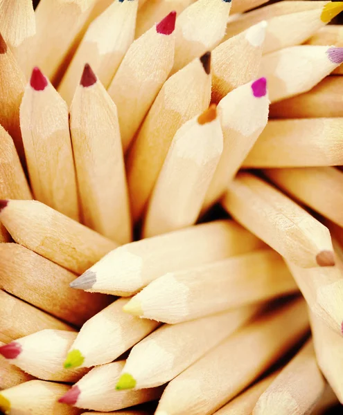 Верхний вид цветных карандашей в держателе — стоковое фото