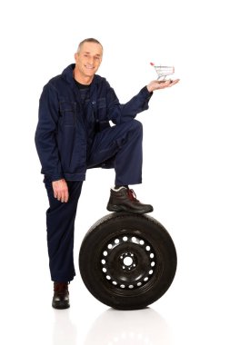 Mekanik bir lastik ve sepeti