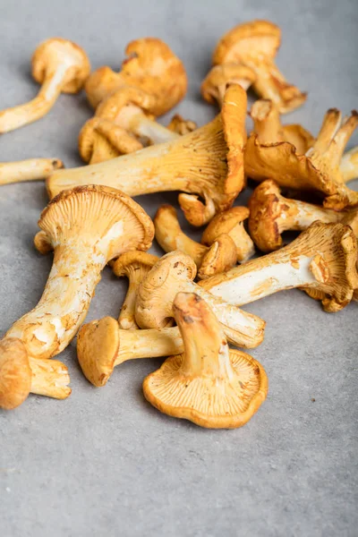 Heap of fresh yellow forestry chanterelle — Stock Photo, Image