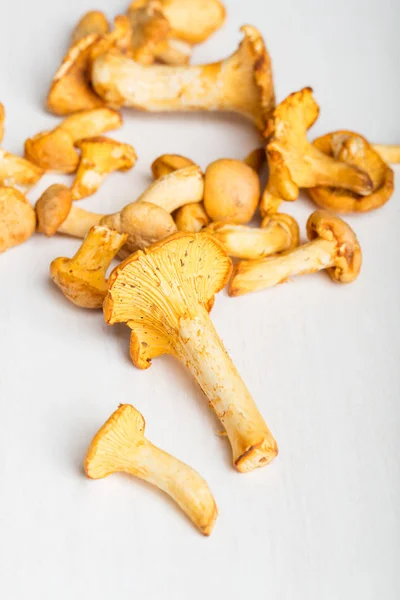 Heap of fresh yellow forestry chanterelle — Stock Photo, Image