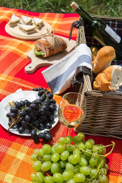 Picnic koncept - mad og vin på tæppet - Stock-foto