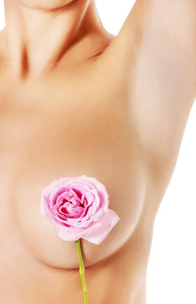 Krásná žena pokrývá prsu s růžovou růží — Stock fotografie