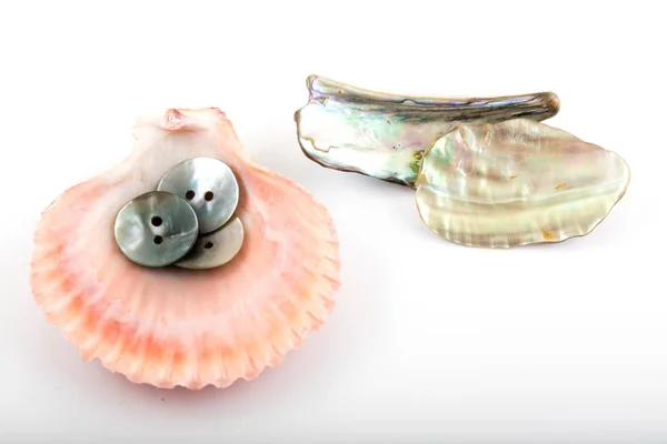 Shining mother of pearl and pearl buttons on the sea shell