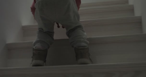 階段登るの赤ちゃん。背面画像 — ストック動画