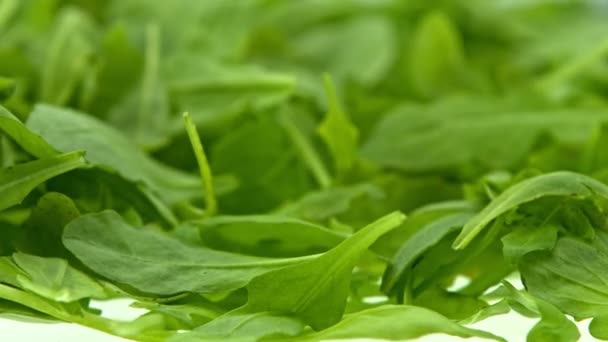 Arugula yeşil yaprakları — Stok video