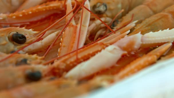 Stack of shrimp, luxurious food — Stock Video