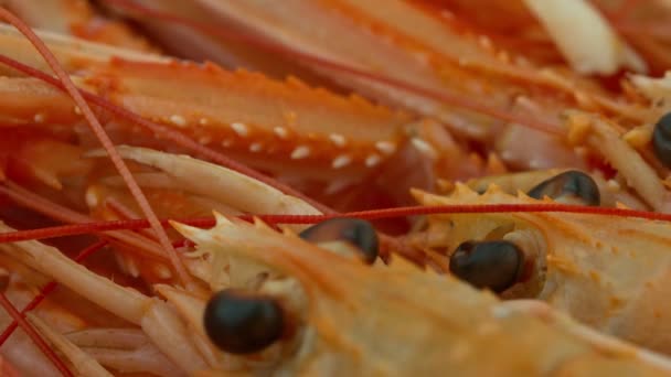 Креветки - дорогі морепродукти — стокове відео