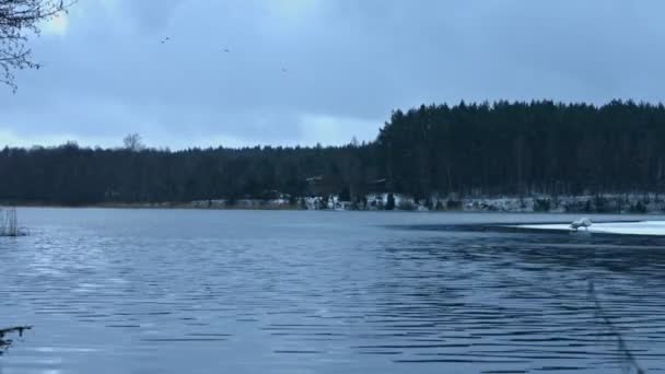 Timelapse de neige tombant sur le lac 