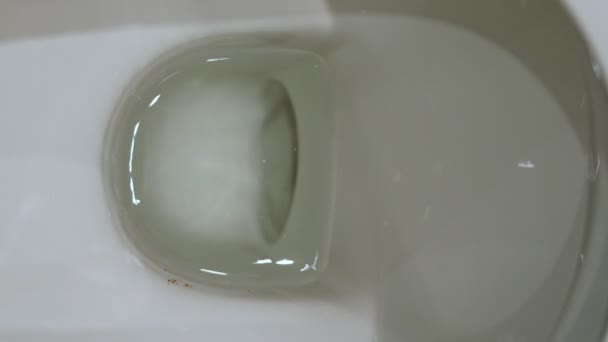 Água na bacia do vaso sanitário — Vídeo de Stock