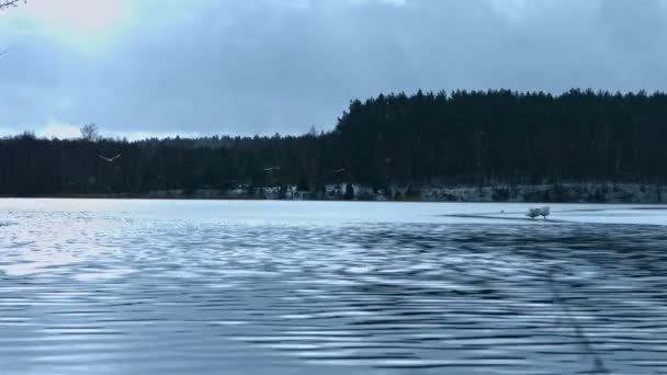 Paysage hivernal du lac 