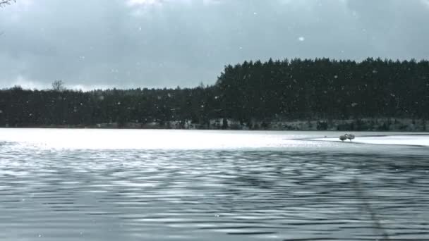 Замерзшее озеро в зимнее время — стоковое видео