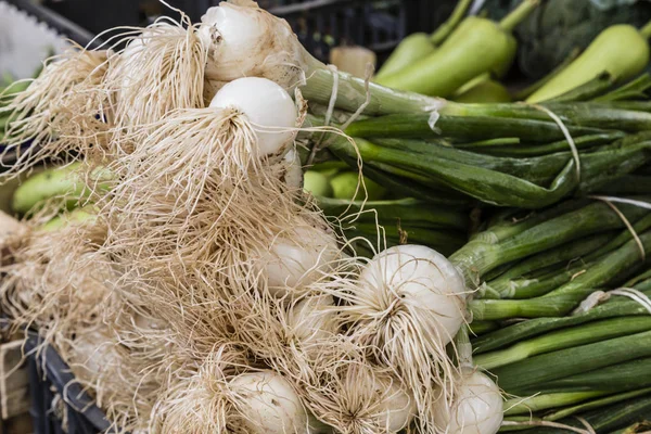 Lente-uitjes op de markt — Stockfoto