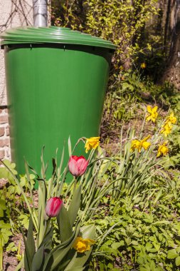 yağmur varil bir bahçe