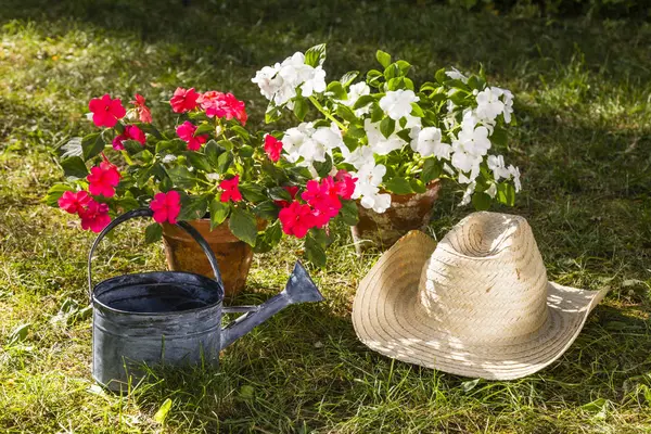 Stillleben im Garten — Stockfoto