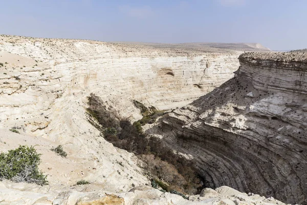 En Advat Nationalpark or Ein Advat, Negev, Israel — Stok fotoğraf