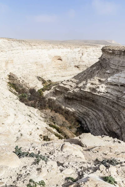 En Advat Nationalpark or Ein Advat, Negev, Israel — Stock fotografie