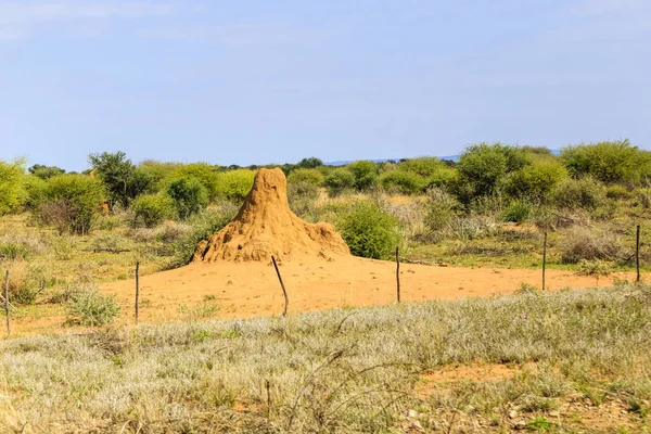 Montículo de termitas en Namibia —  Fotos de Stock