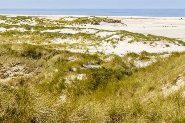 Beach with dunes on Amrum, Germany — Stock Photo, Image