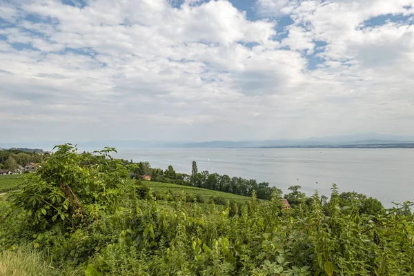 Lago Constança perto de Meersburg, Alemanha — Fotografia de Stock