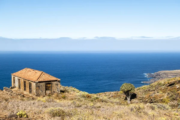 Spanien Landskap Garafa Med Dragoträd Och Gammalt Hus Palma Kanarieöarna — Stockfoto