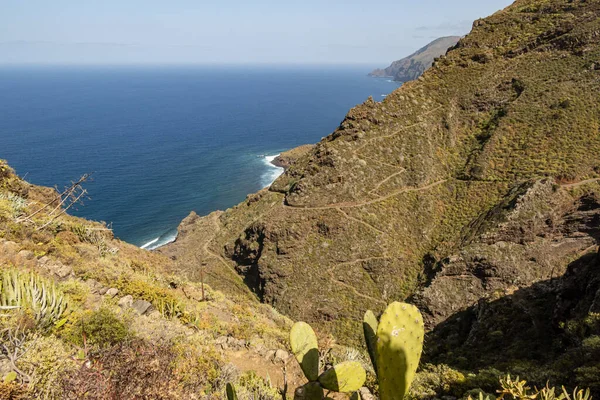 Costa Palma Isole Canarie Spagna — Foto Stock