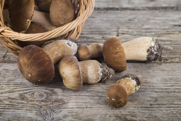 Funghi crudi su un tavolo di legno. — Foto Stock