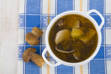 Yabani mantar çorbası  